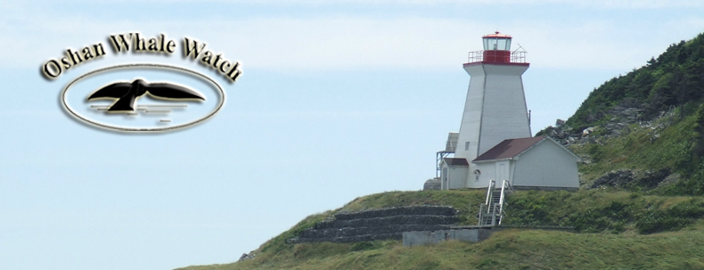 Historic Money Point Lighthouse stands at Cape North, Nova Scotia